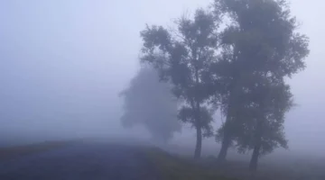 تحذير لمواطني الأردن.. فرصة تشكل ضباب كثيف تعيق حركة السير ليل الإثنين